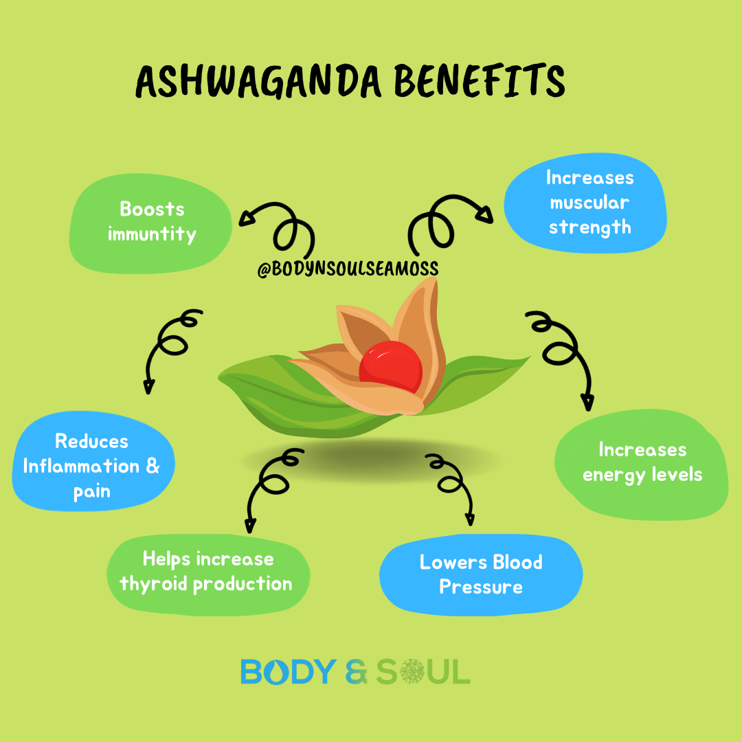 Plain Gold & Ashwaganda