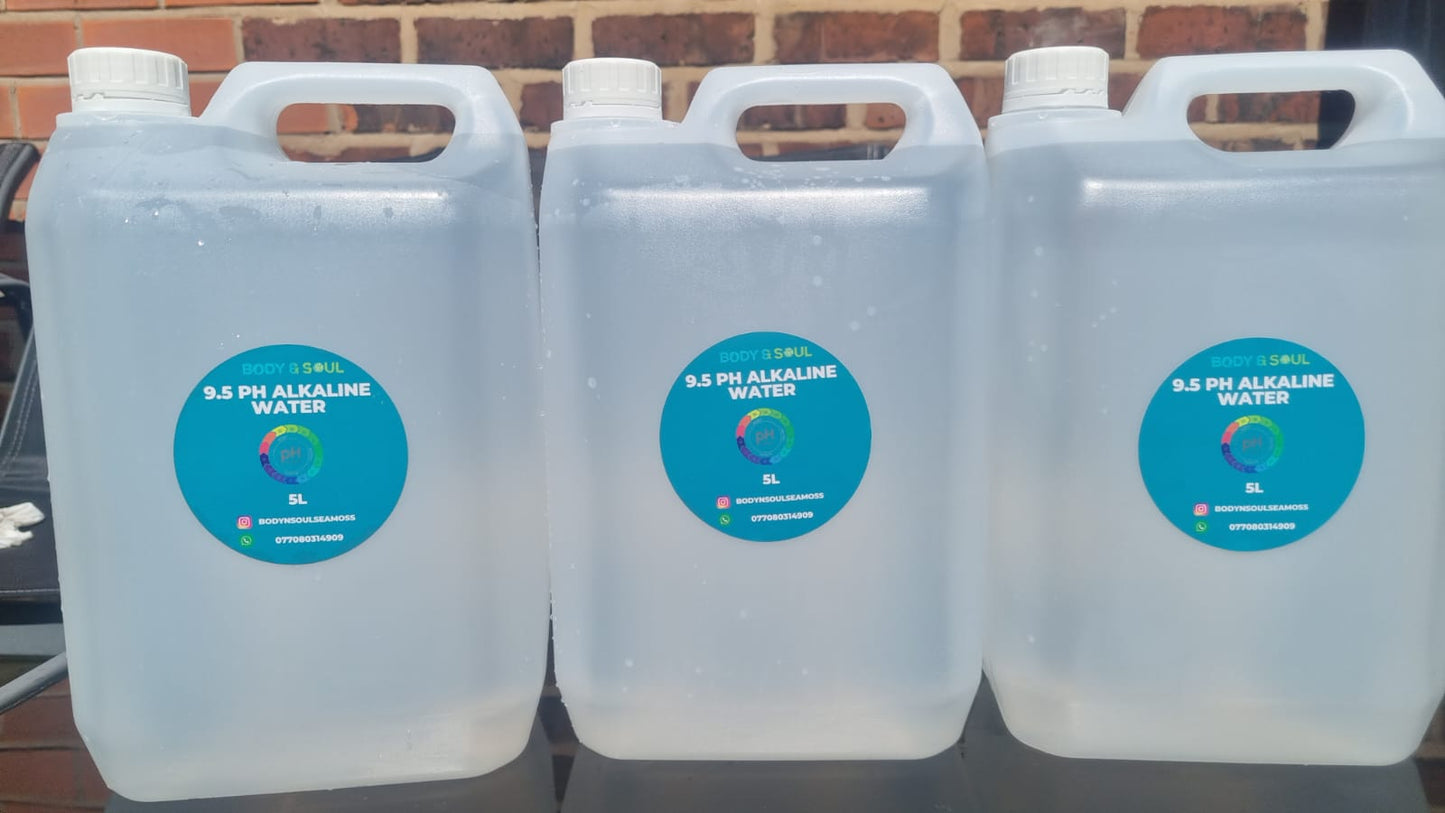 Alkaline water REFILLS