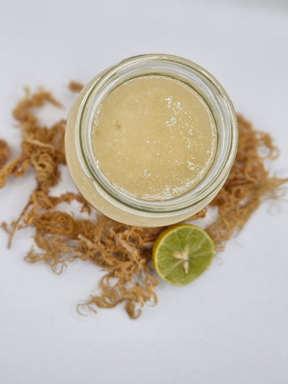 Plain Gold Seamoss - 380ml