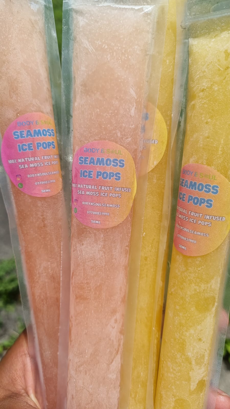 Fruit Infused Seamoss Ice pops - Pack of 6