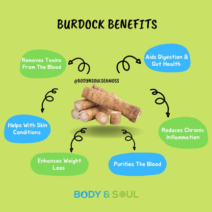 Purple Seamoss - 380ml