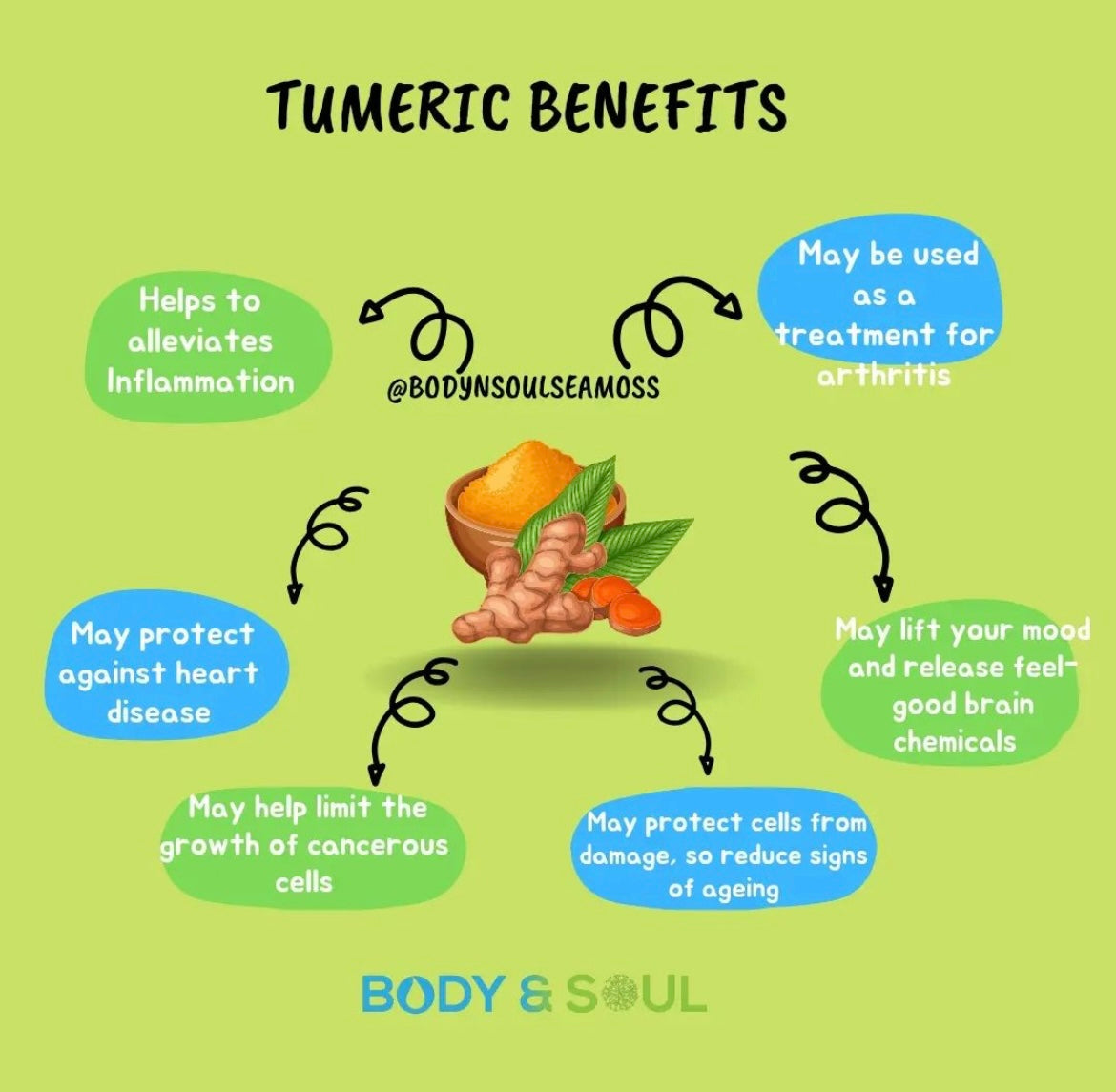 Purple Seamoss - 380ml